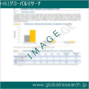 グローバルリサーチ調査レポートのイメージ